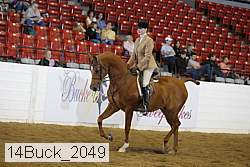 14buck_2049 proof