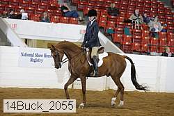 14buck_2055 proof