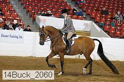 14buck_2060 proof
