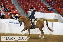 14buck_2065 proof