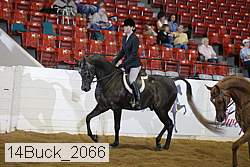 14buck_2066 proof
