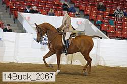 14buck_2067 proof