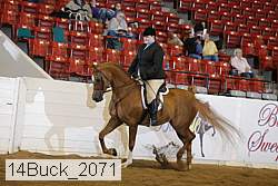 14buck_2071 proof