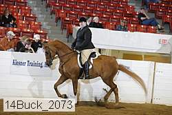14buck_2073 proof
