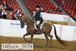 14buck_2079 proof