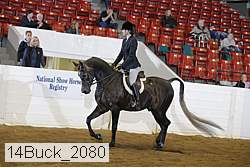 14buck_2080 proof