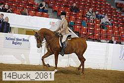 14buck_2081 proof
