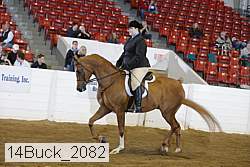 14buck_2082 proof