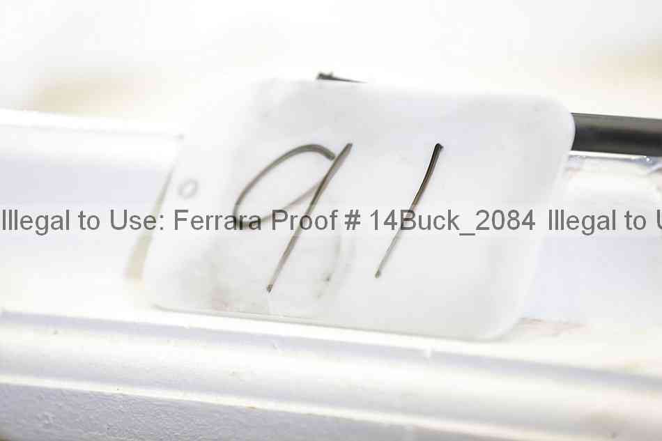 Proof 14buck_2084
