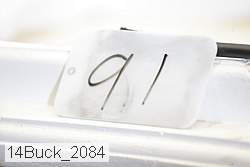 14buck_2084 proof