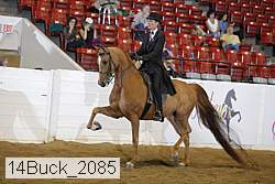 14buck_2085 proof