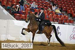 14buck_2087 proof