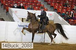 14buck_2088 proof