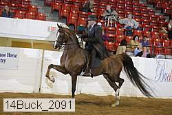 14buck_2091 proof