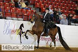 14buck_2094 proof