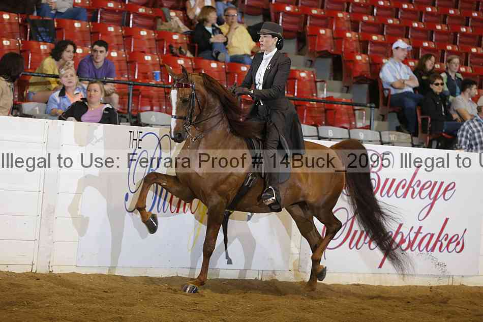 Proof 14buck_2095