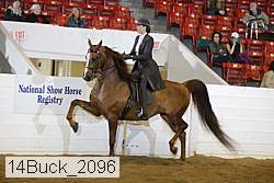14buck_2096 proof