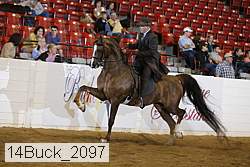 14buck_2097 proof