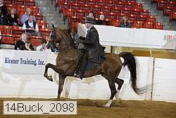 14buck_2098 proof