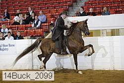 14buck_2099 proof