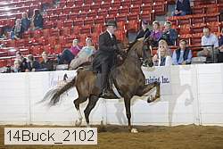 14buck_2102 proof