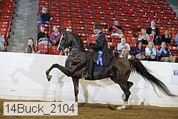 14buck_2104 proof