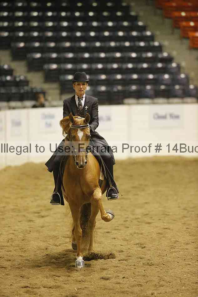 Proof 14buck_2151