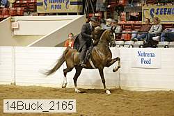14buck_2165 proof