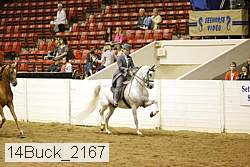 14buck_2167 proof