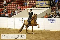 14buck_2168 proof
