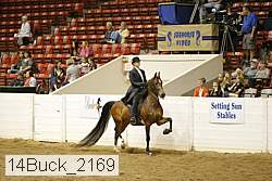 14buck_2169 proof