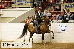 14buck_2171 proof