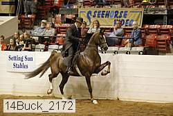 14buck_2172 proof