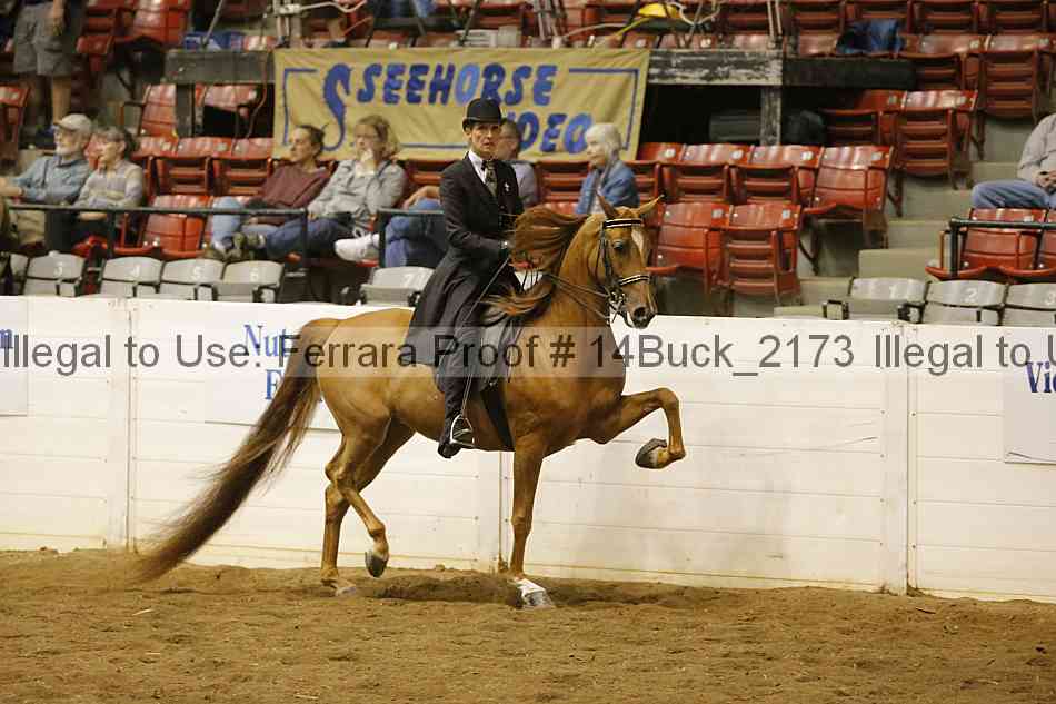 Proof 14buck_2173