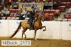 14buck_2173 proof