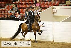 14buck_2174 proof