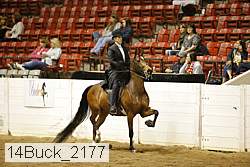 14buck_2177 proof