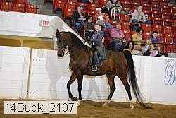 14buck_2107 proof