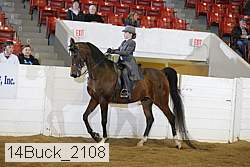 14buck_2108 proof