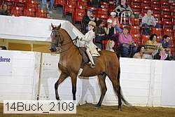 14buck_2109 proof