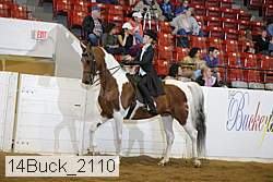 14buck_2110 proof
