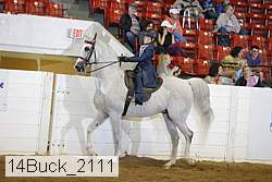 14buck_2111 proof