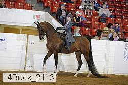 14buck_2113 proof