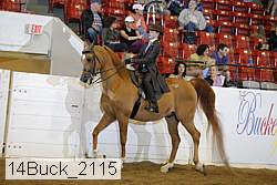 14buck_2115 proof