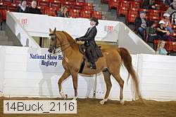 14buck_2116 proof