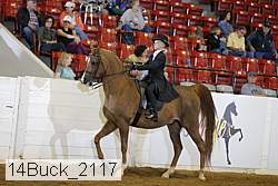 14buck_2117 proof