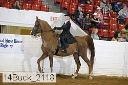 14buck_2118 proof