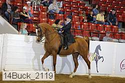 14buck_2119 proof