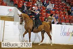 14buck_2120 proof