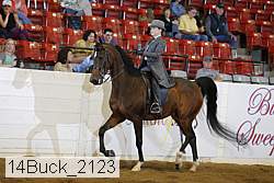14buck_2123 proof